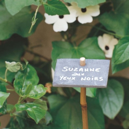 étiquette de jardin en ardoise