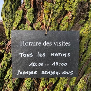Etiquette Ardoise Horaire des visites 2