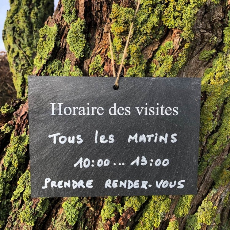 Etiquette Ardoise Horaire des visites