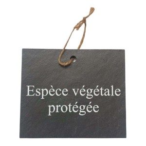 Etiquette Ardoise 'Je suis au potager'