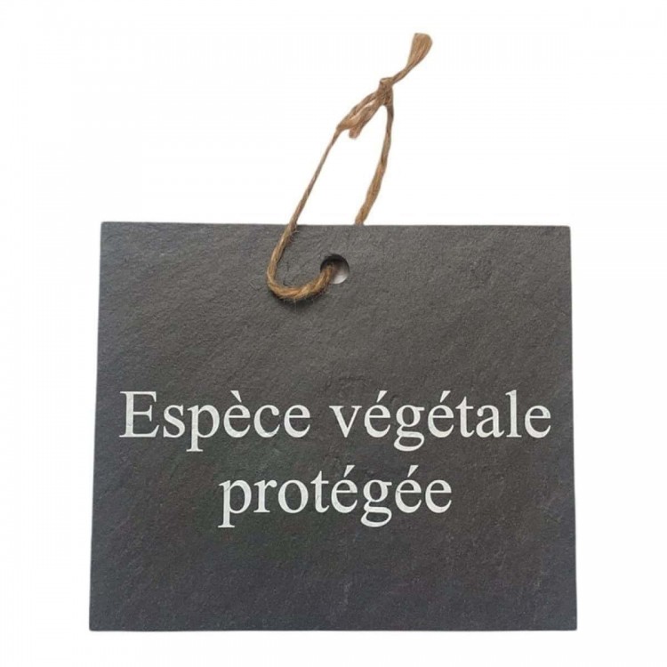 Etiquette Ardoise 'Je suis au potager'