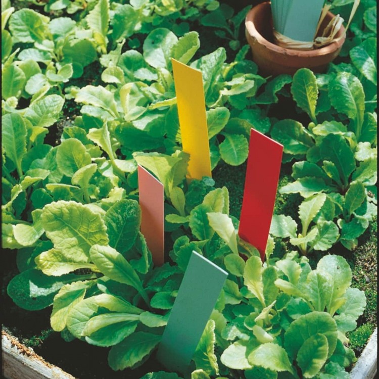 Etiquettes Semis, Boutures, Potées