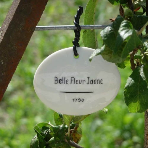 Etiquette porcelaine blanche Limoges