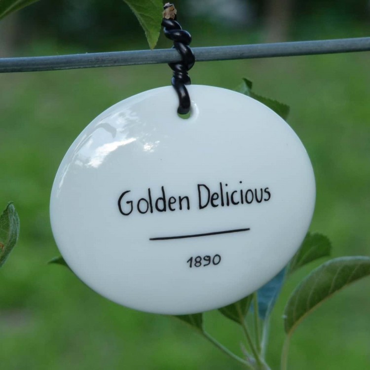 Etiquette Blanche 'Limoges'...