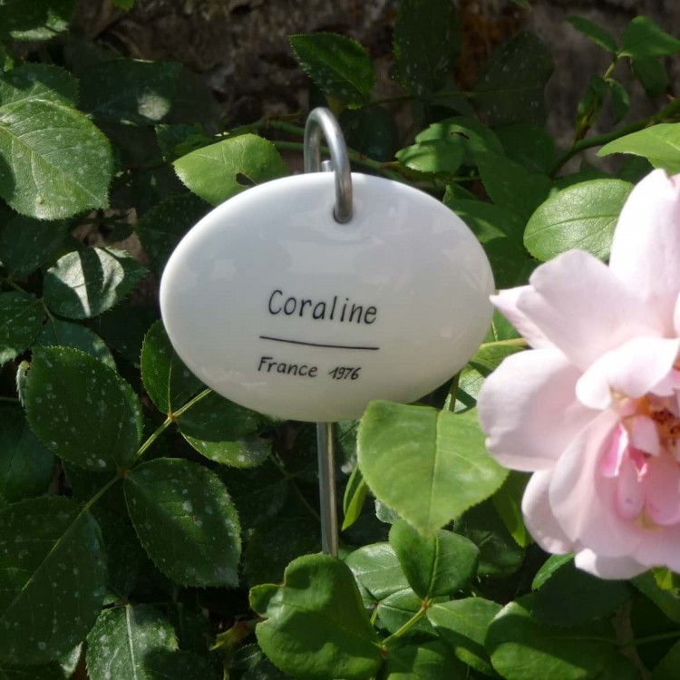 Etiquette porcelaine blanche Limoges