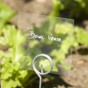 10 Etiquettes PVC 'Globe' 2