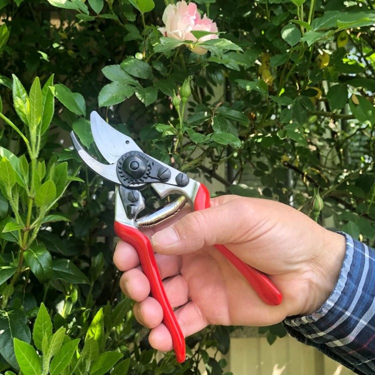 Sécateur Felco 14 le plus compact des Felco