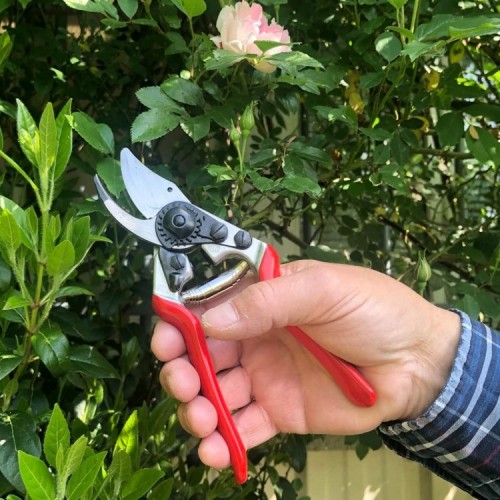 Sécateur Felco 14