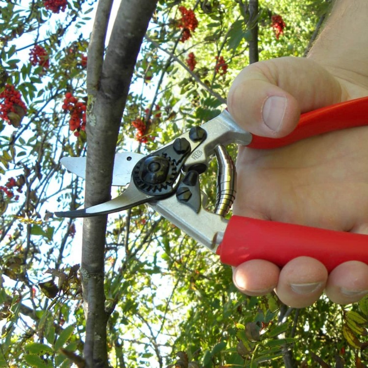 Sécateur Felco 12 poignée tournante