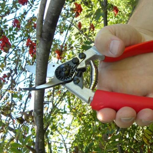 Sécateur Felco 12 poignée tournante