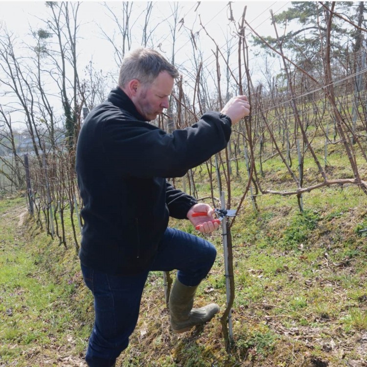 Sécateur Felco 17 Gaucher à Poignée...