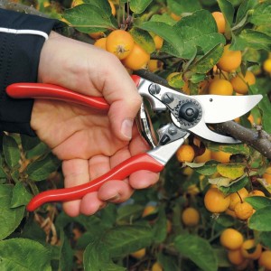 Sécateur Felco 9 Gaucher 2