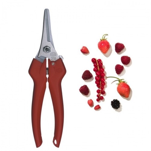 épinette, coupe fruits felco 310