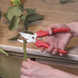 Coupe-Fleurs Felco 300 2