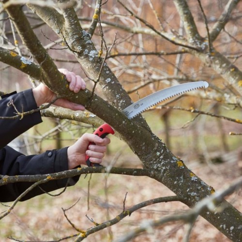 Scie Felco 630 Scie Felco 630