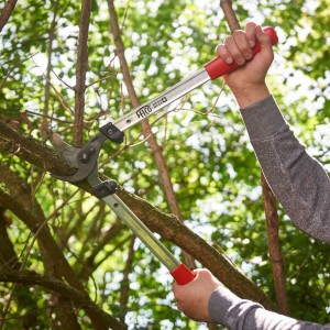 Ebrancheur Elagueur Felco 211-40 2