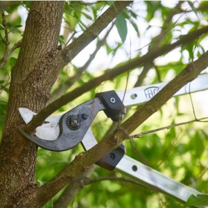 Ebrancheur Elagueur Felco 211-60 2