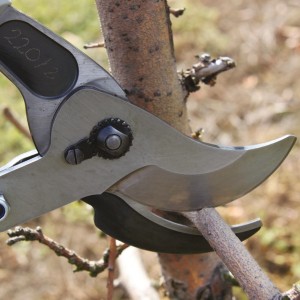 Ebrancheur Elagueur - Felco... 2