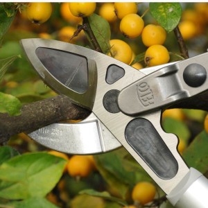 ébrancheur élagueur Felco 231 2