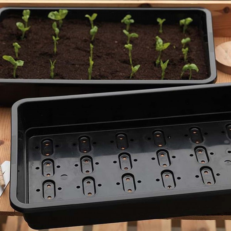 Bac à Semis Bac à Semis