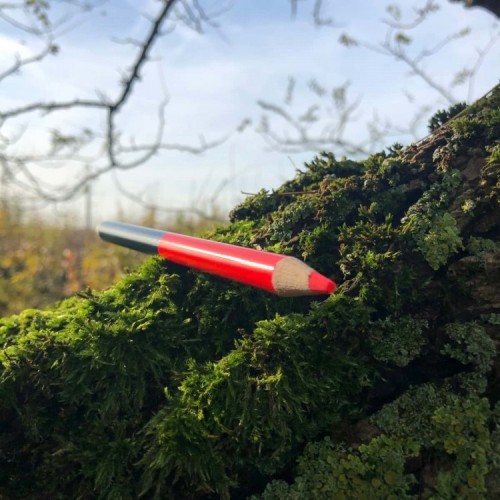 Crayon 'Charpentier'