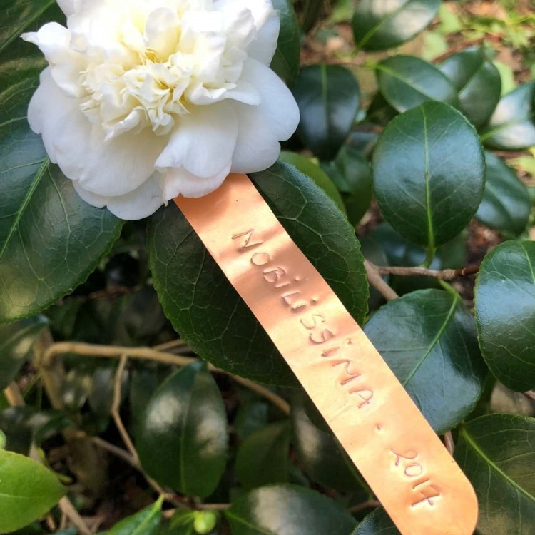 Etiquettes à Boucle Cuivre