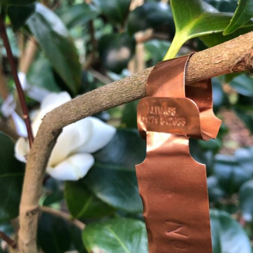 Etiquettes à Boucle Cuivre