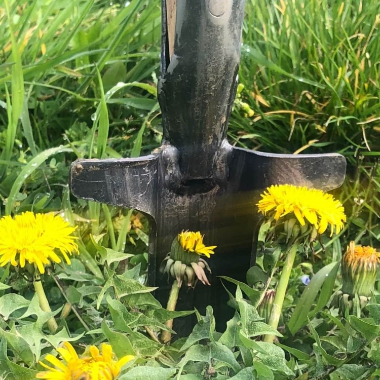 Houe rasoir Japonaise