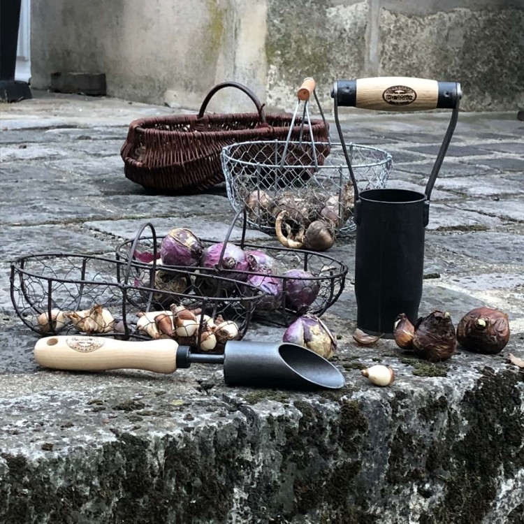 Plantoir à Petits Bulbes