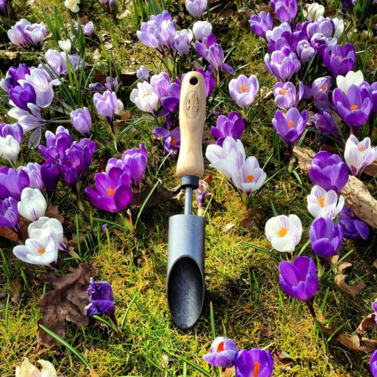 Plantoir à Petits Bulbes