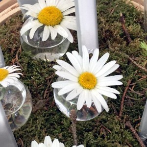 Soliflores Marque Place