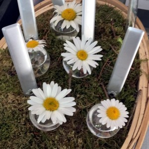Soliflores Marque Place 2