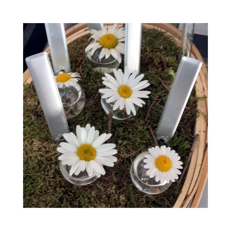 Soliflores Marque Place