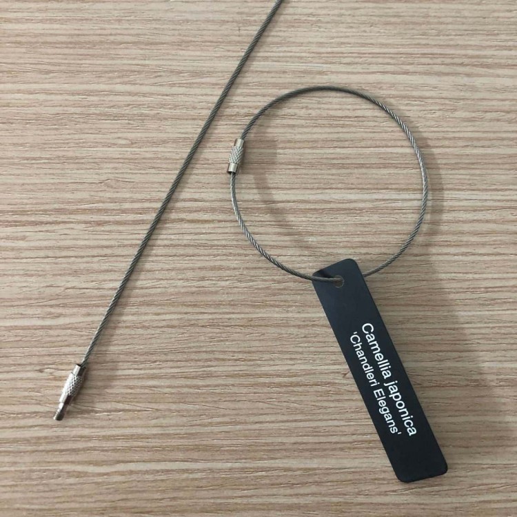 Gravure Express Gravure Express