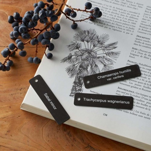 Gravure Express Gravure Express