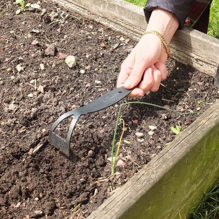 Binette Ninja Binette Ninja