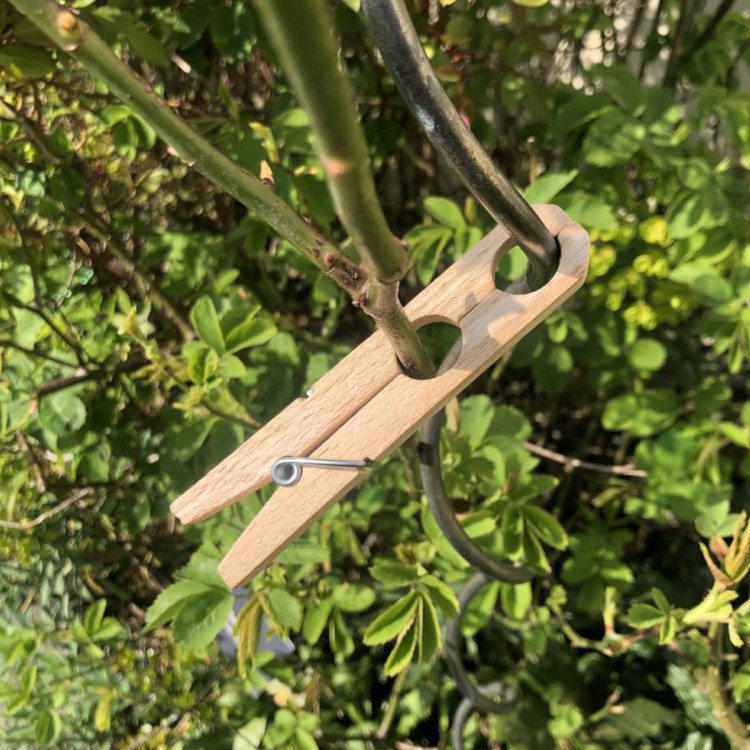Pinces à Plantes en Bois