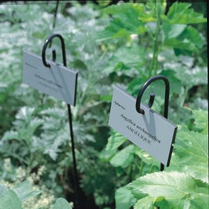 Feutre Jardin Noir Indélébile pour étiquettes - Botanique éditions