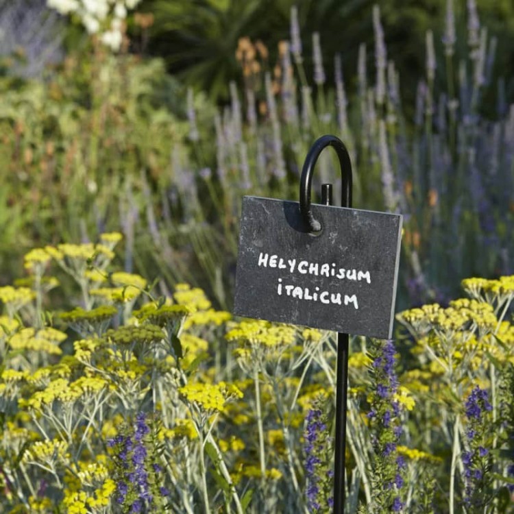 Support Etiquette Jardin Lily Ø 6 mm... Support Etiquette Jardin Lily Ø 6 mm...