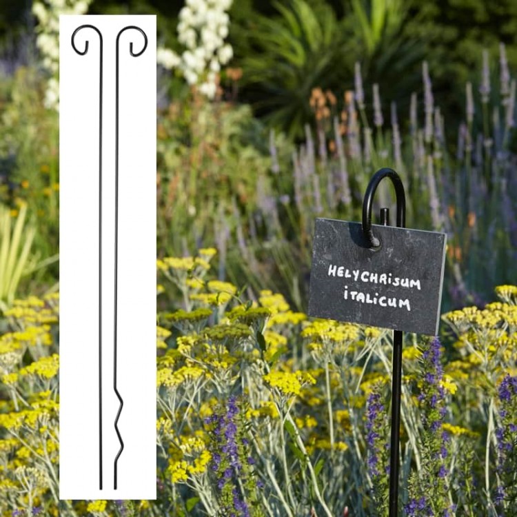 support etiquette jardin lily 6 mm