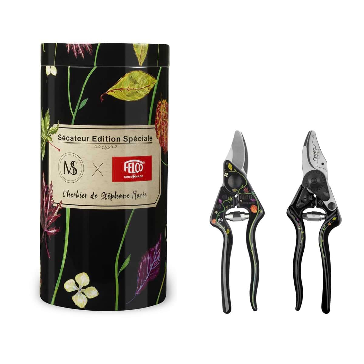 Kit supports Feuilles Herbier, feuilles d'arbres