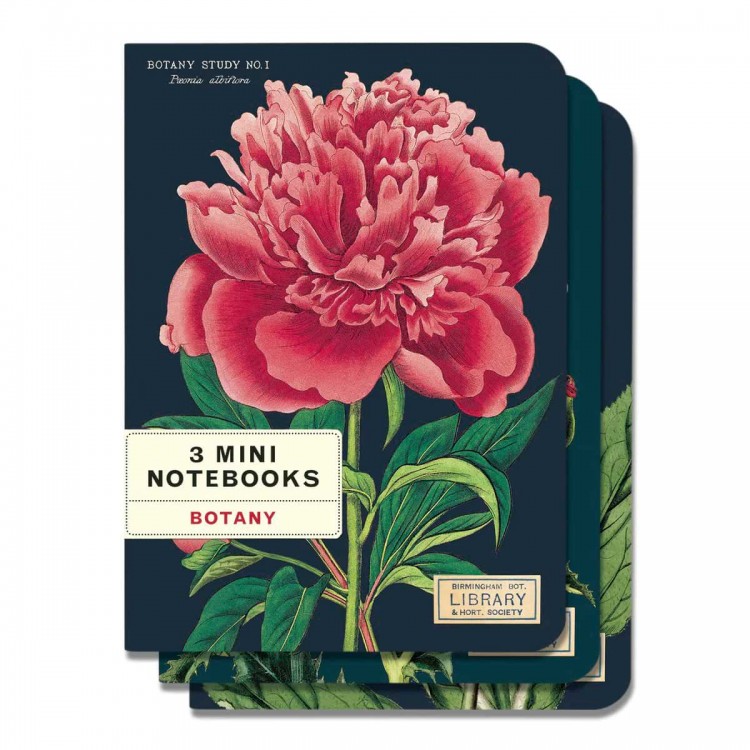 Set de 3 Carnets de note Cavallini Botany