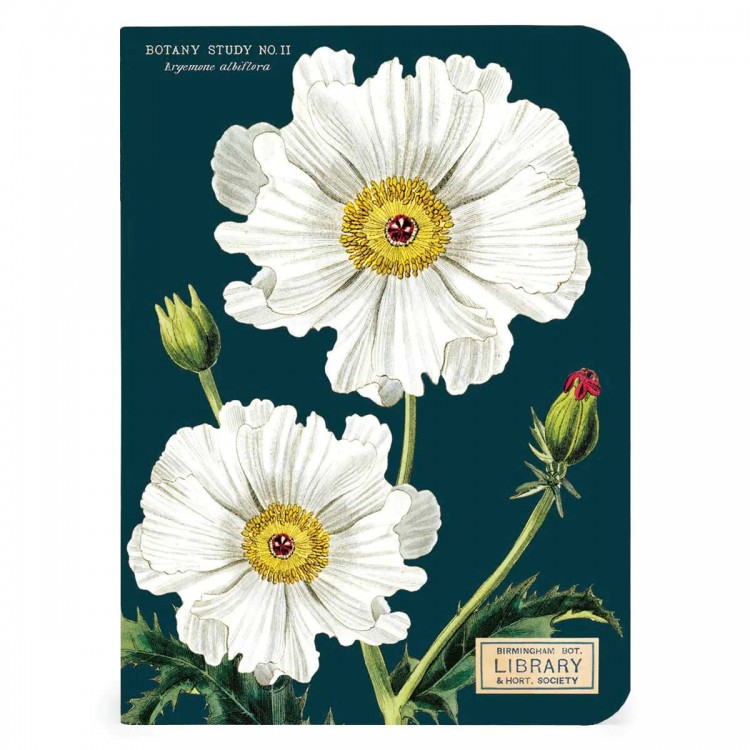 3 Carnets de Notes Botanique