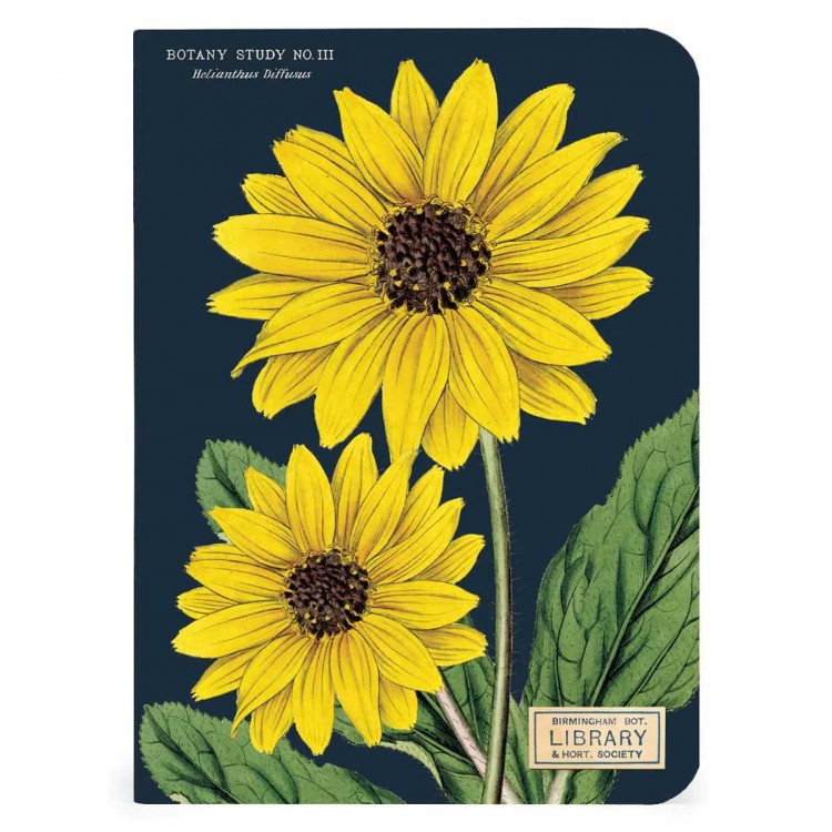 3 Carnets de Notes Botanique