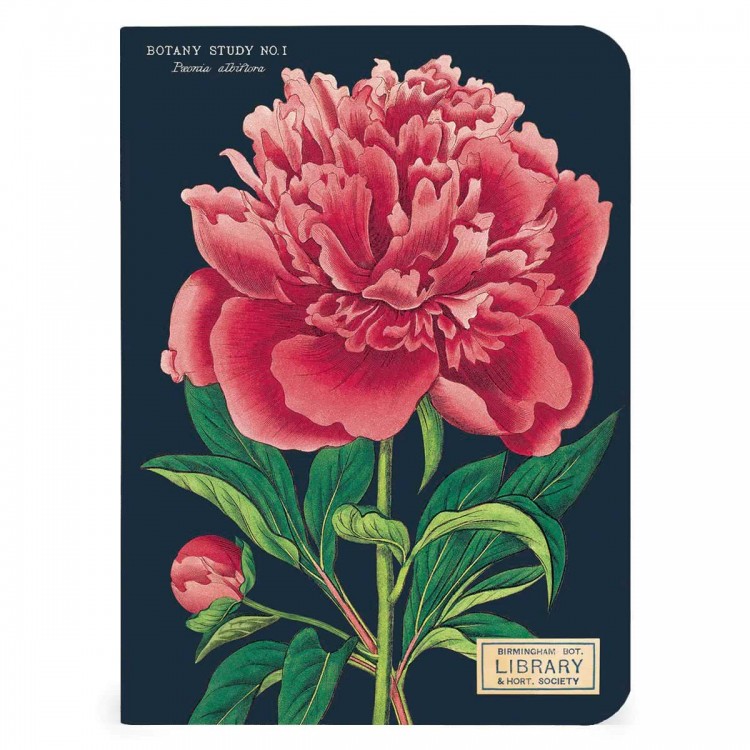 3 Carnets de Notes Botanique