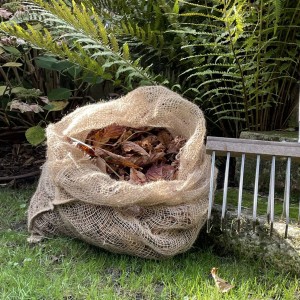 Activateur de compost 750 gr botanic® : Compostage et recyclage des déchets  verts Botanic® potager et verger - botanic®