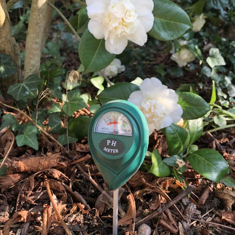 Testeur de PH de Sol