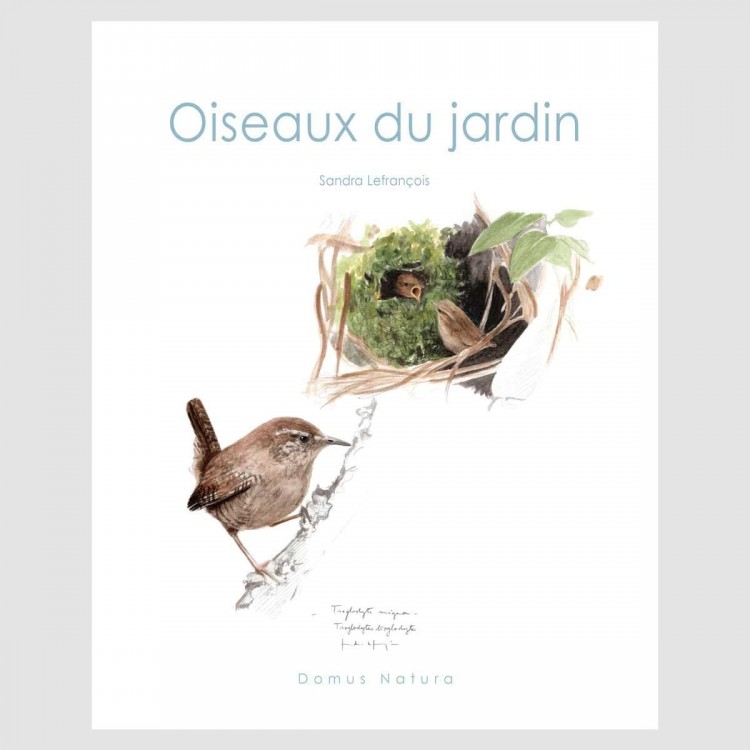 Oiseaux de jardin Sandra LeFrançois