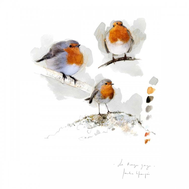 Oiseaux du jardin - Sandra Lefrançois