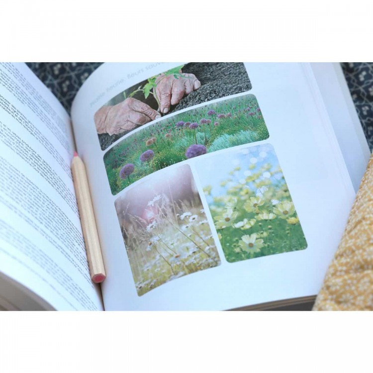 Oiseaux du jardin - Sandra Lefrançois